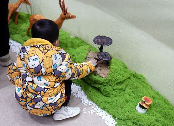 灵芝闽都研学行：探秘「仙草」背后的科学密码