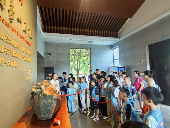 寻山问石，共赴“仲夏石语”——寿山石 科普研学活动在榕举行