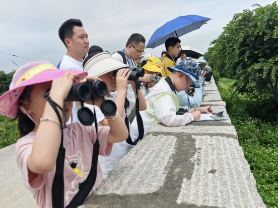 世界环境日｜“生机湿地・共建美丽中国”闽都科普研学行